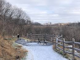 Winter hiking at Evergreen Brick Works